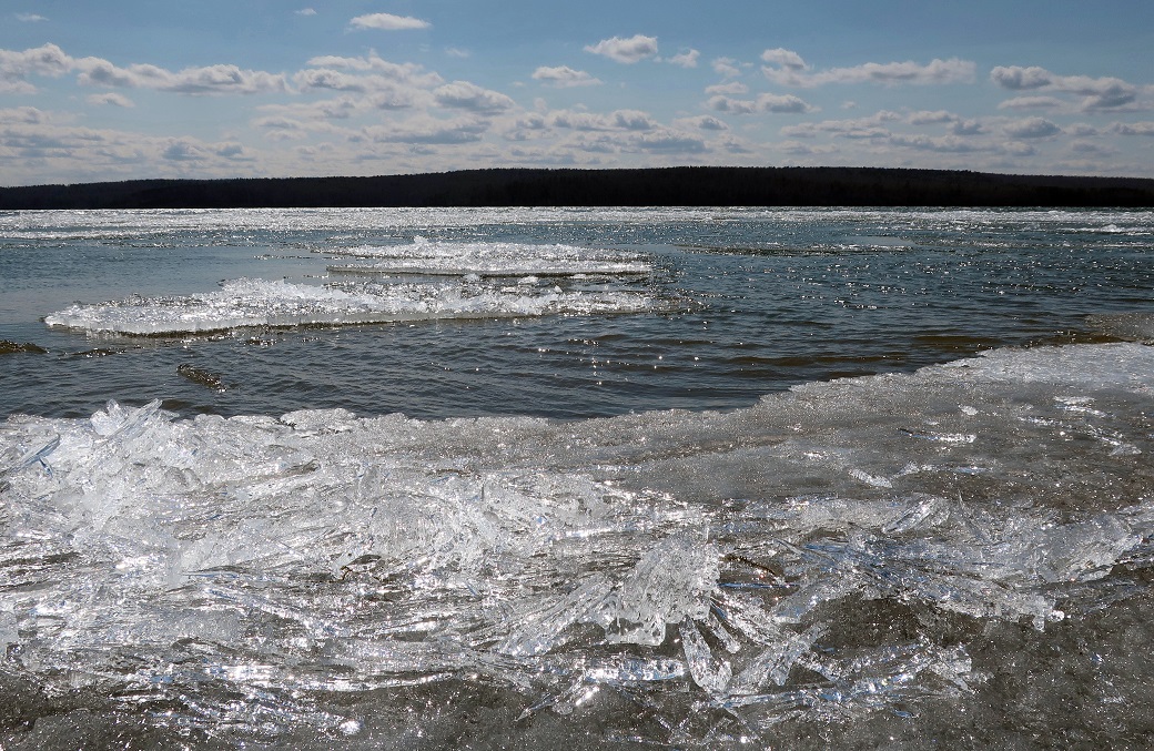 ��������� ���������