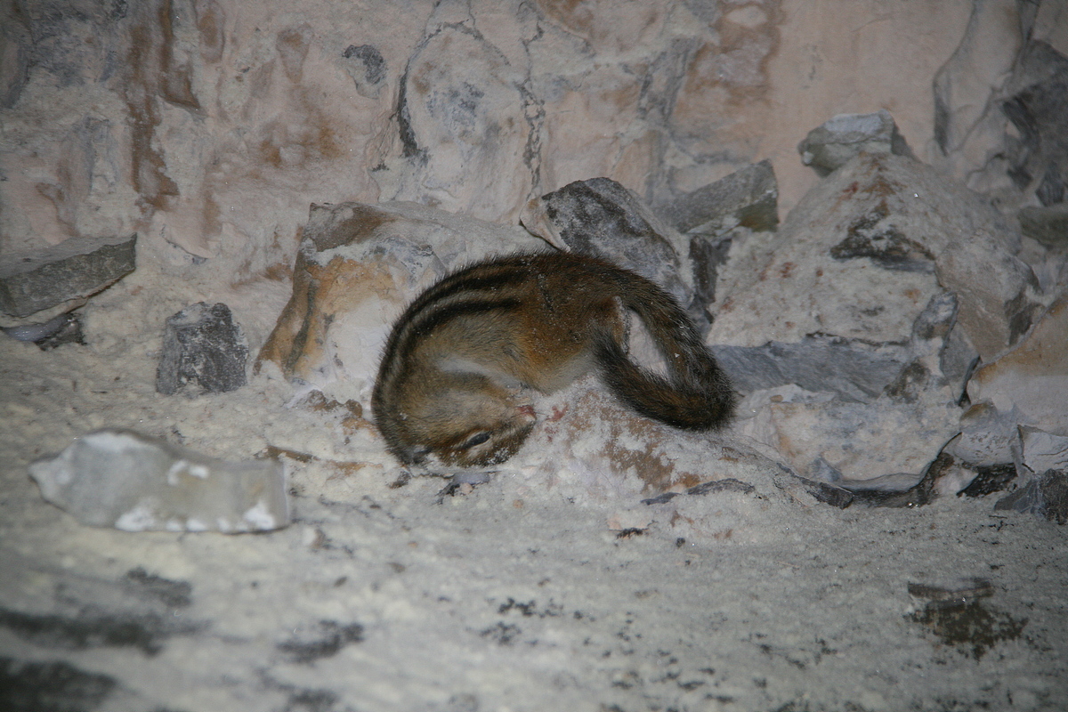 �������� �� ����