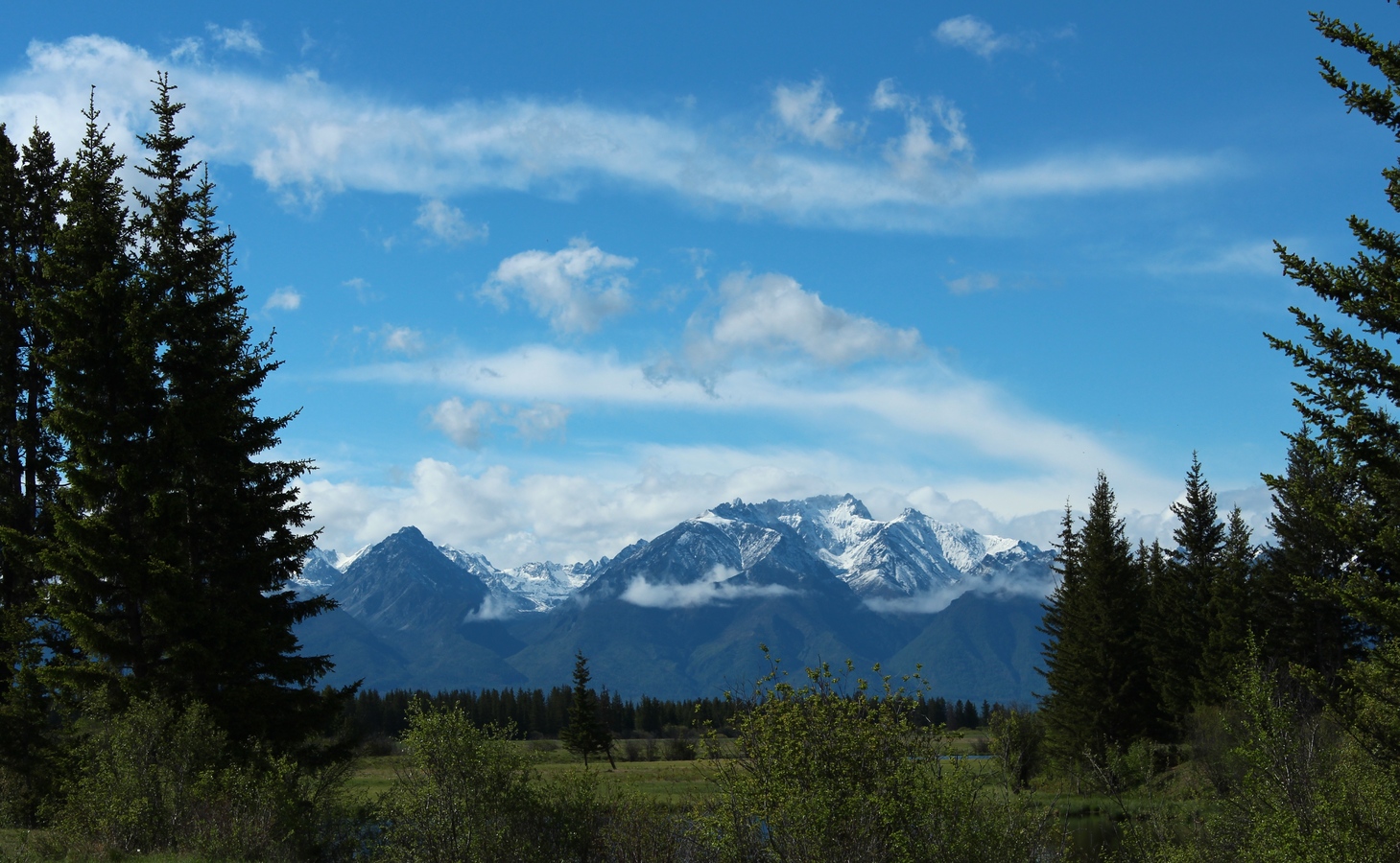 ����� �����