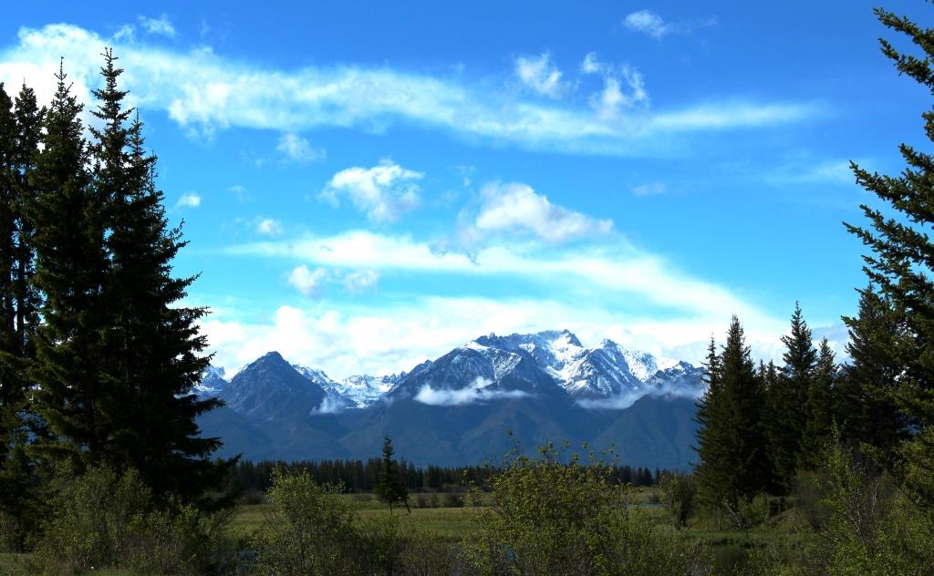 ����� �����