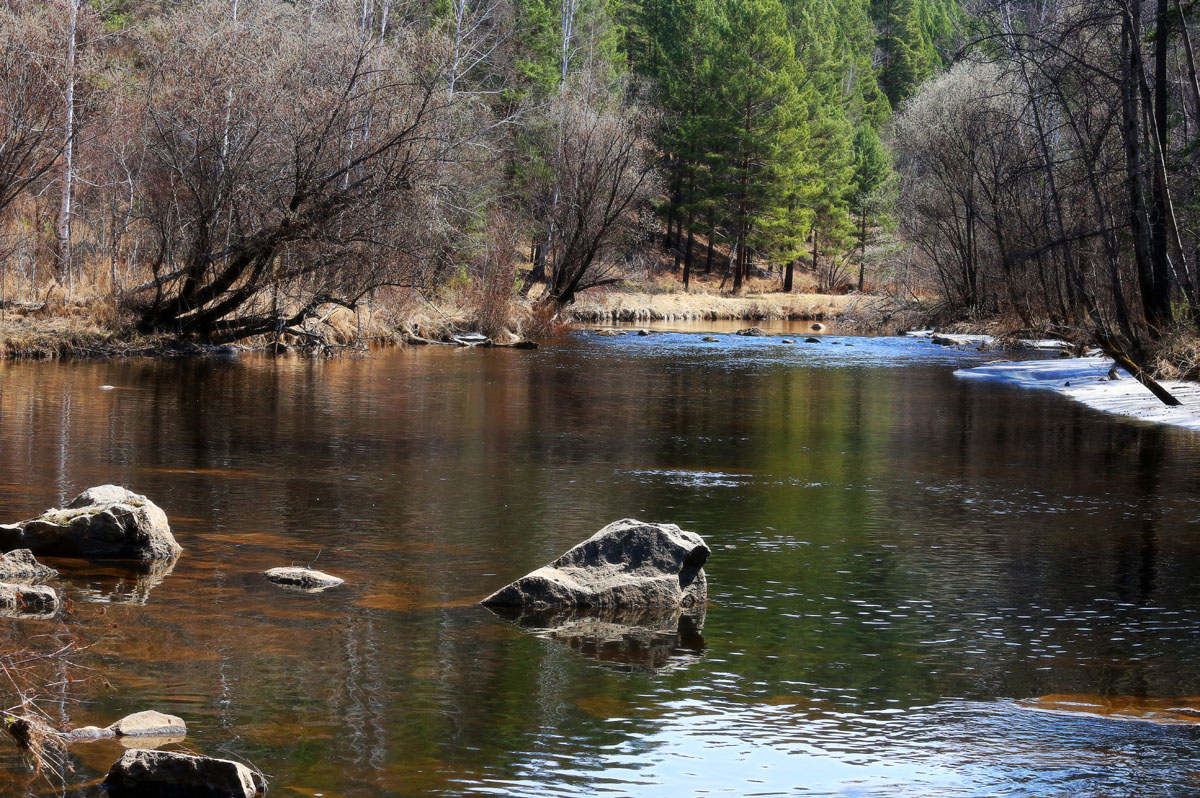 ���� � ������