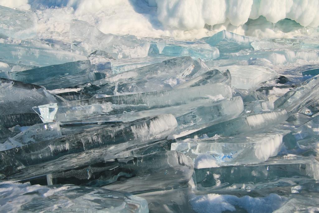 ���� ����� 5