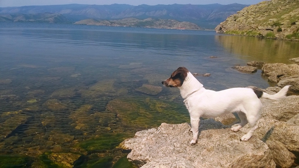 �� �������� �����