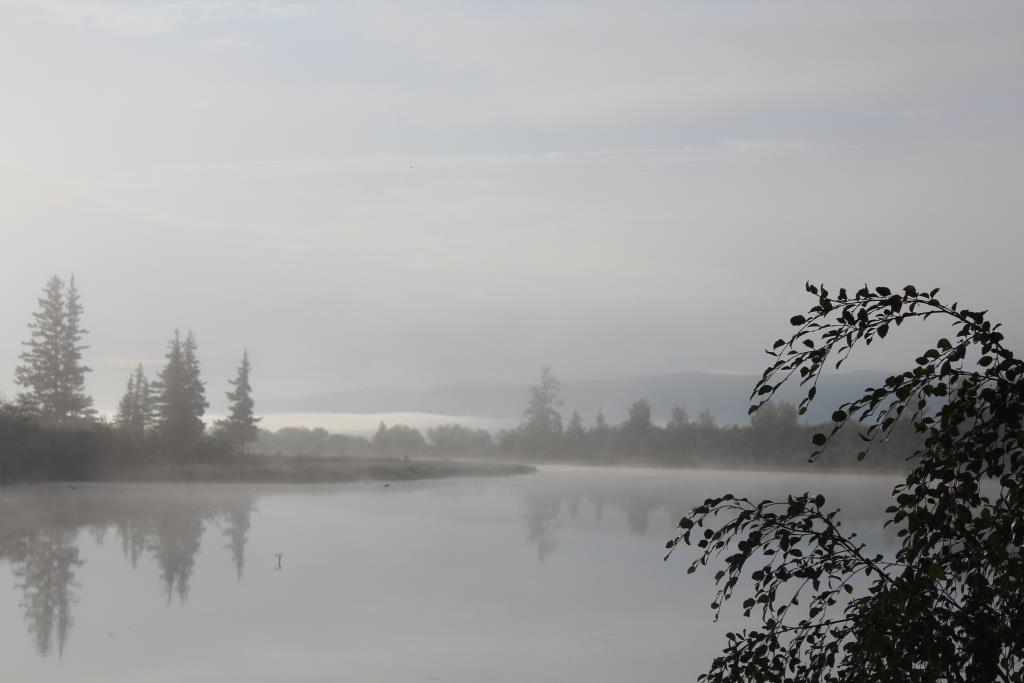 ����� �� �������� �����