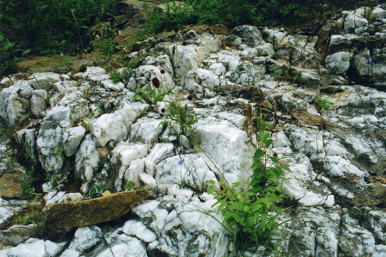 ������� ������