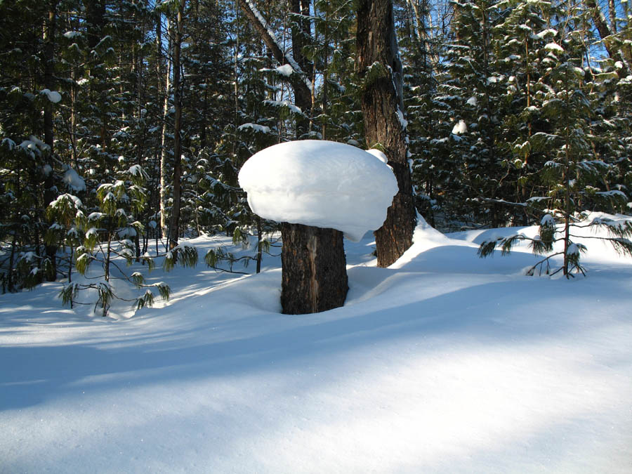 ������ �������.