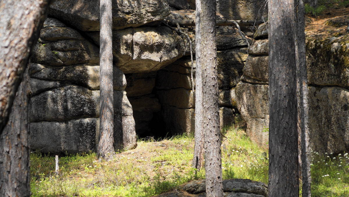 " �������� � ��� ��� �"