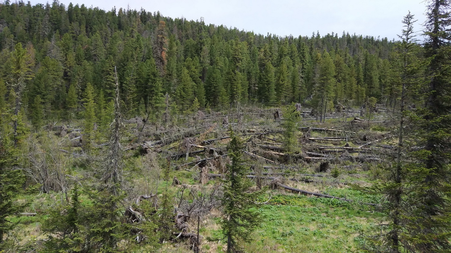 ��, ���� �