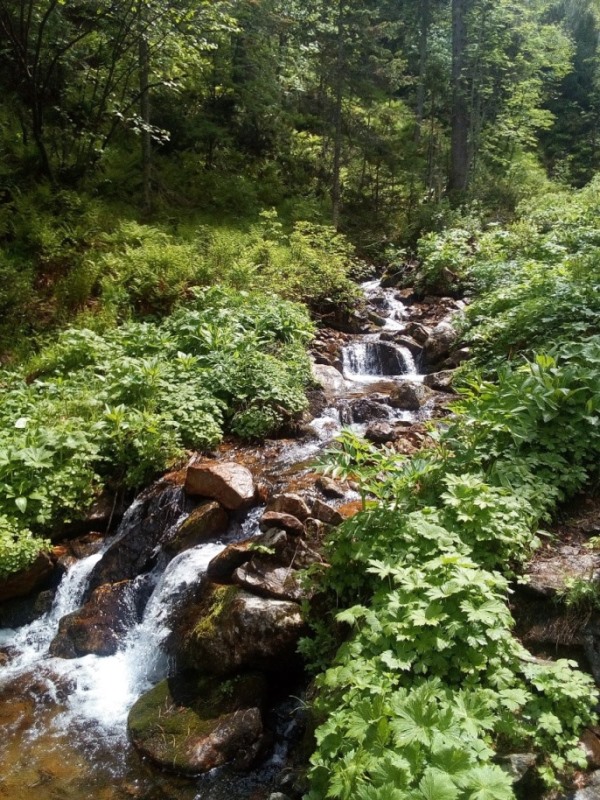 ��������� ������