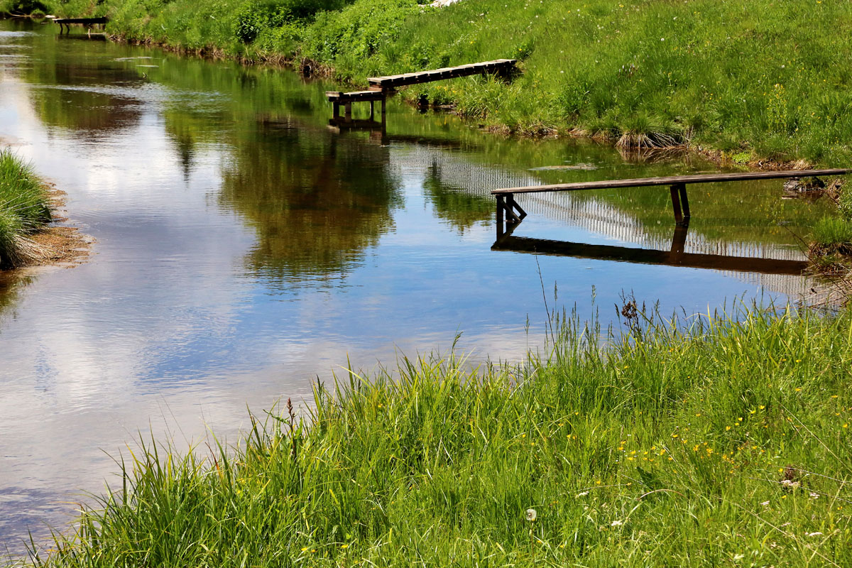 ����� �������