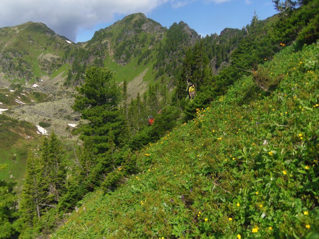 � ����� �. ������