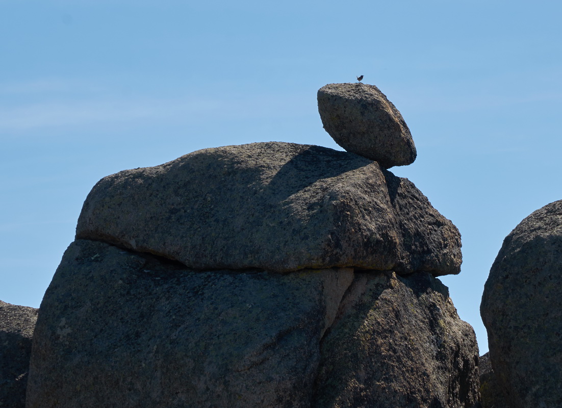 ��, ������ ����� ..