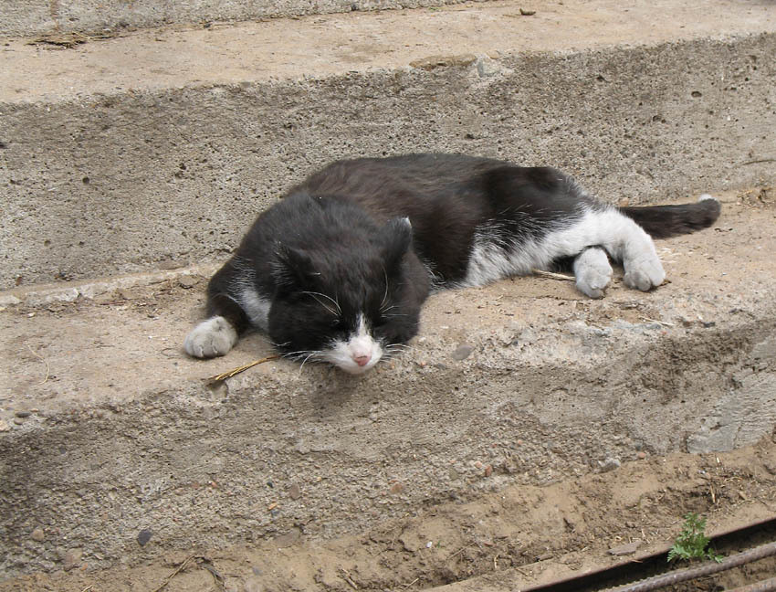 ������ ���������...