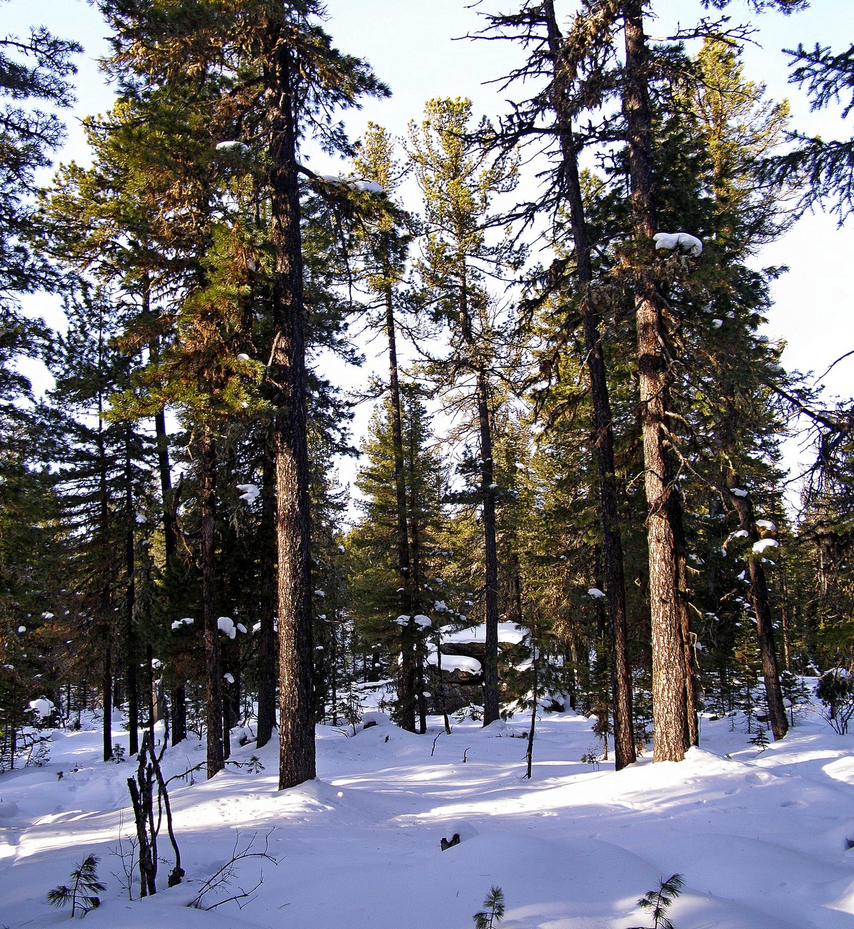 4- 