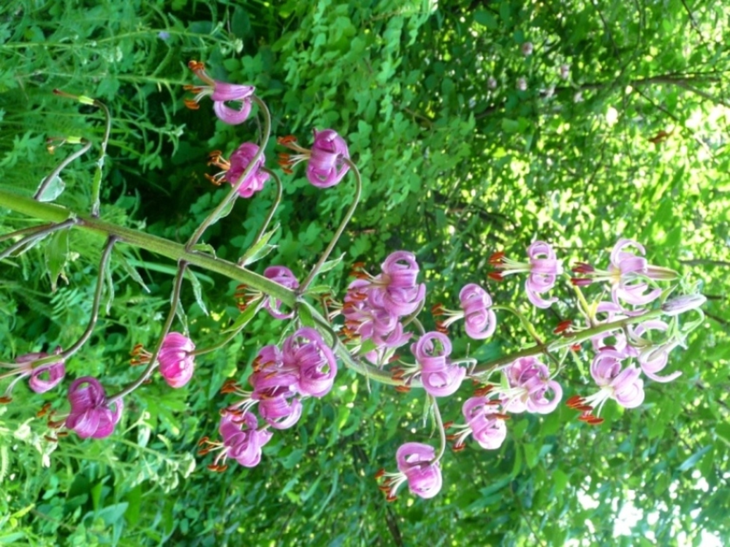 �����-������� �����������������!