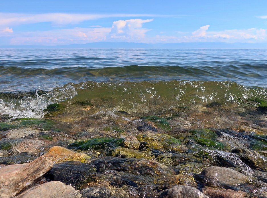 ���� ��������