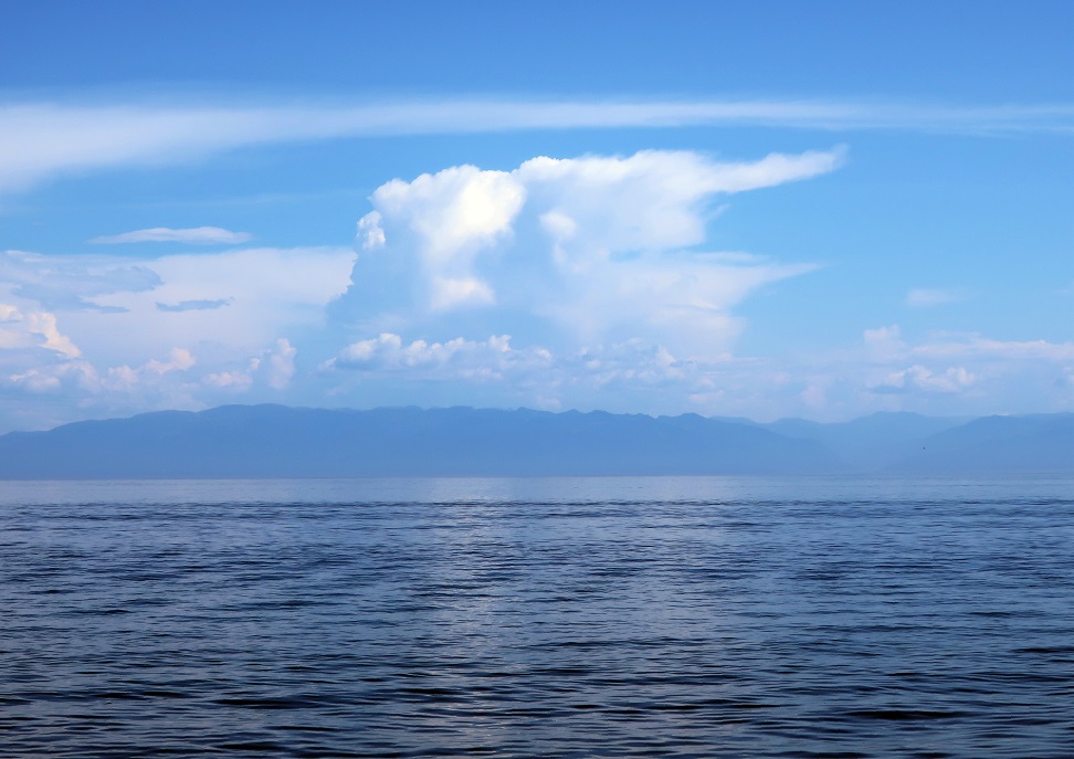 ����� ����