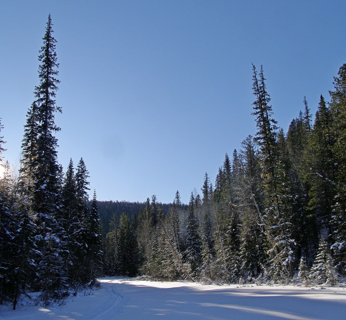  -  16,2    