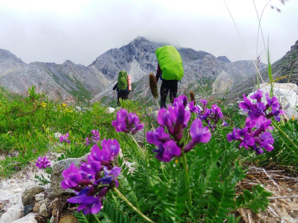 � ������� �����������