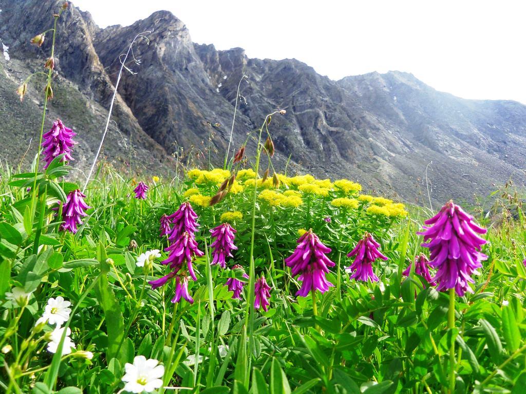 � ��������� ���-����