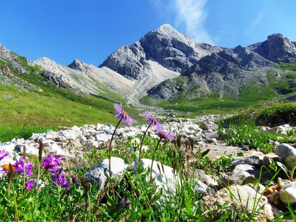 ������ �� ����������