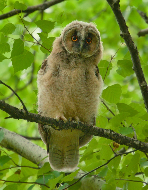 ������� �� �������� ������. ���� 4