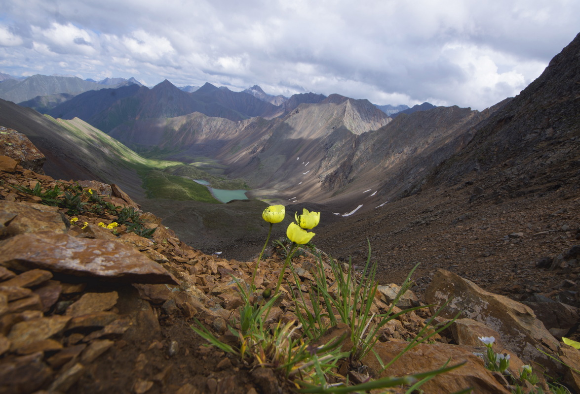 ������ ���� � ��������