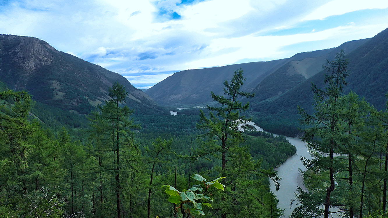 ������� ������ �. �����