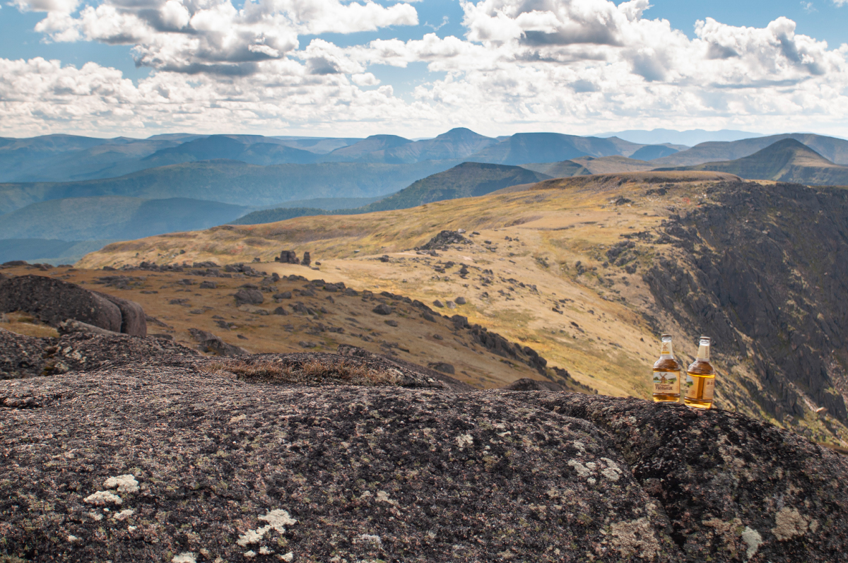 "������������" �������� �� ����� :)