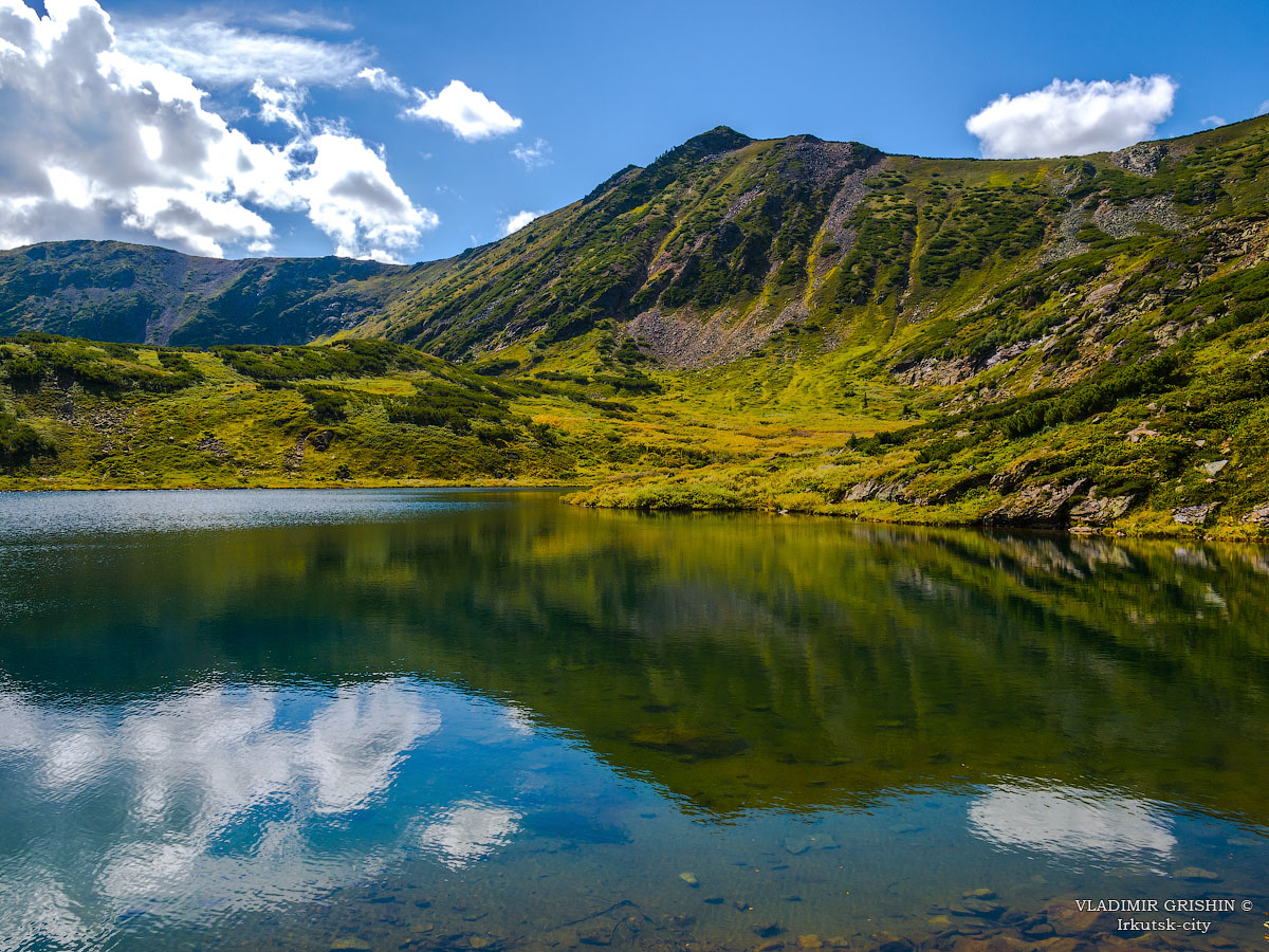 �� ������ ����� ������