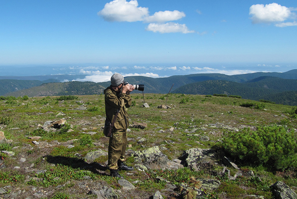 �� ���� ��������