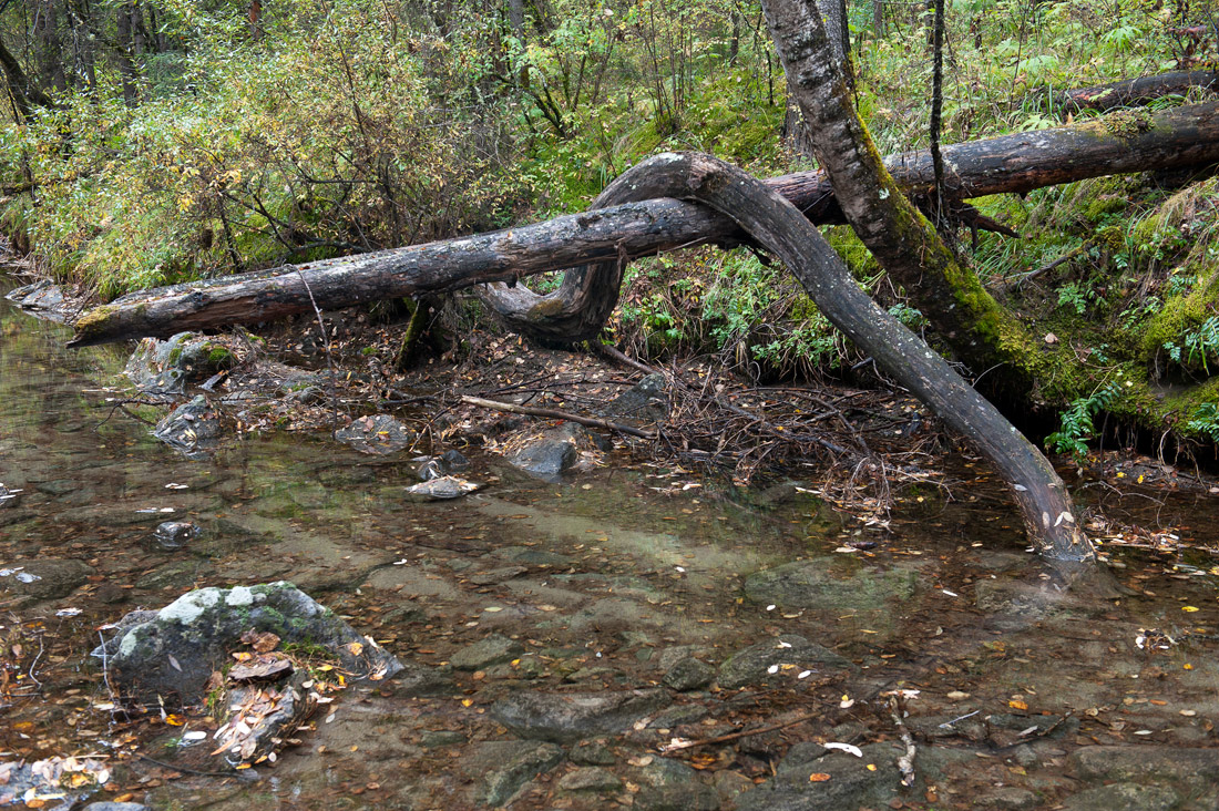 �������� �� �������