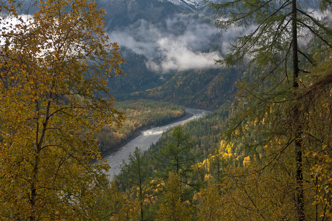 ���� ������ ���