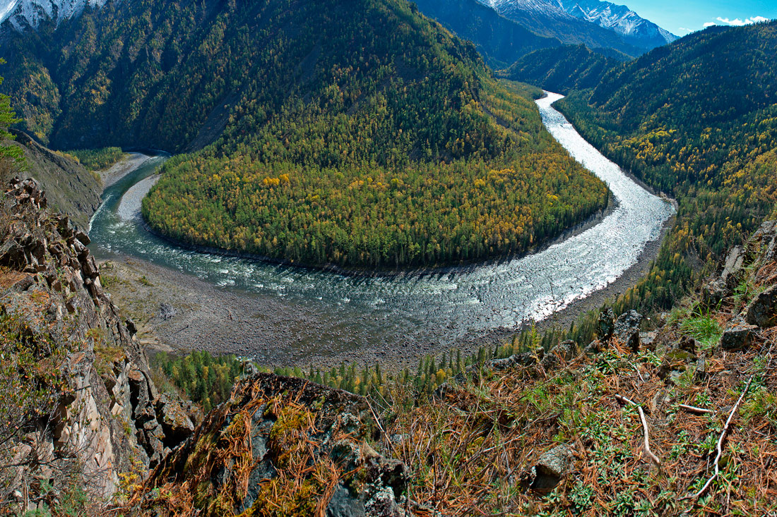 �������� �������