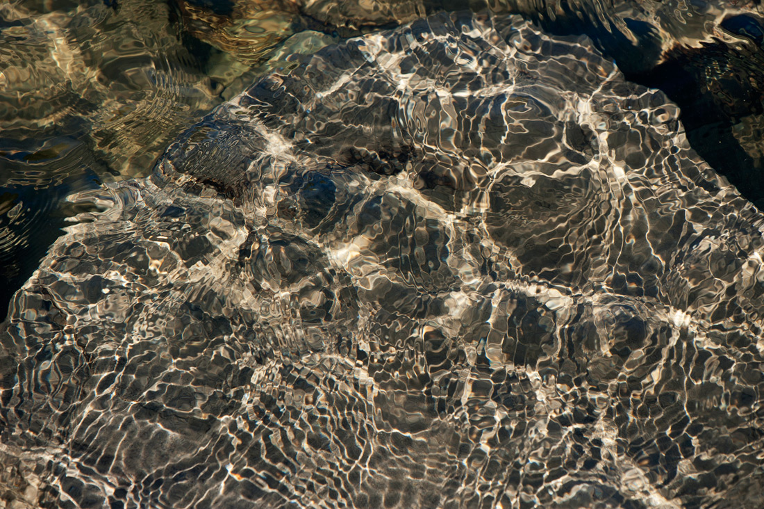 ���� �����