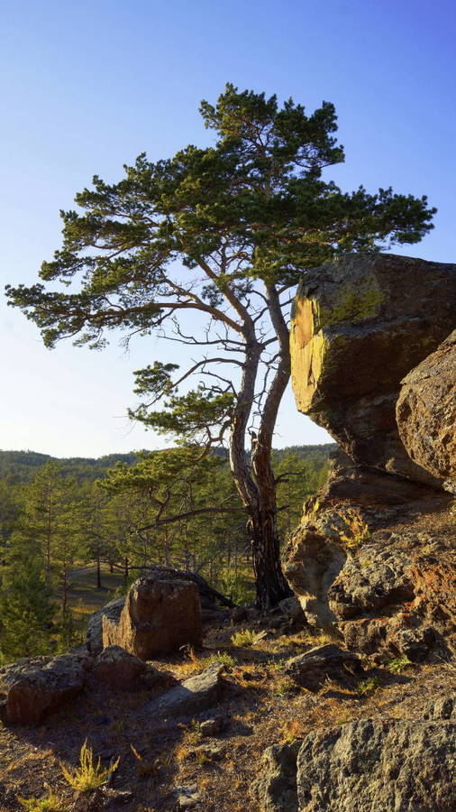 ����������