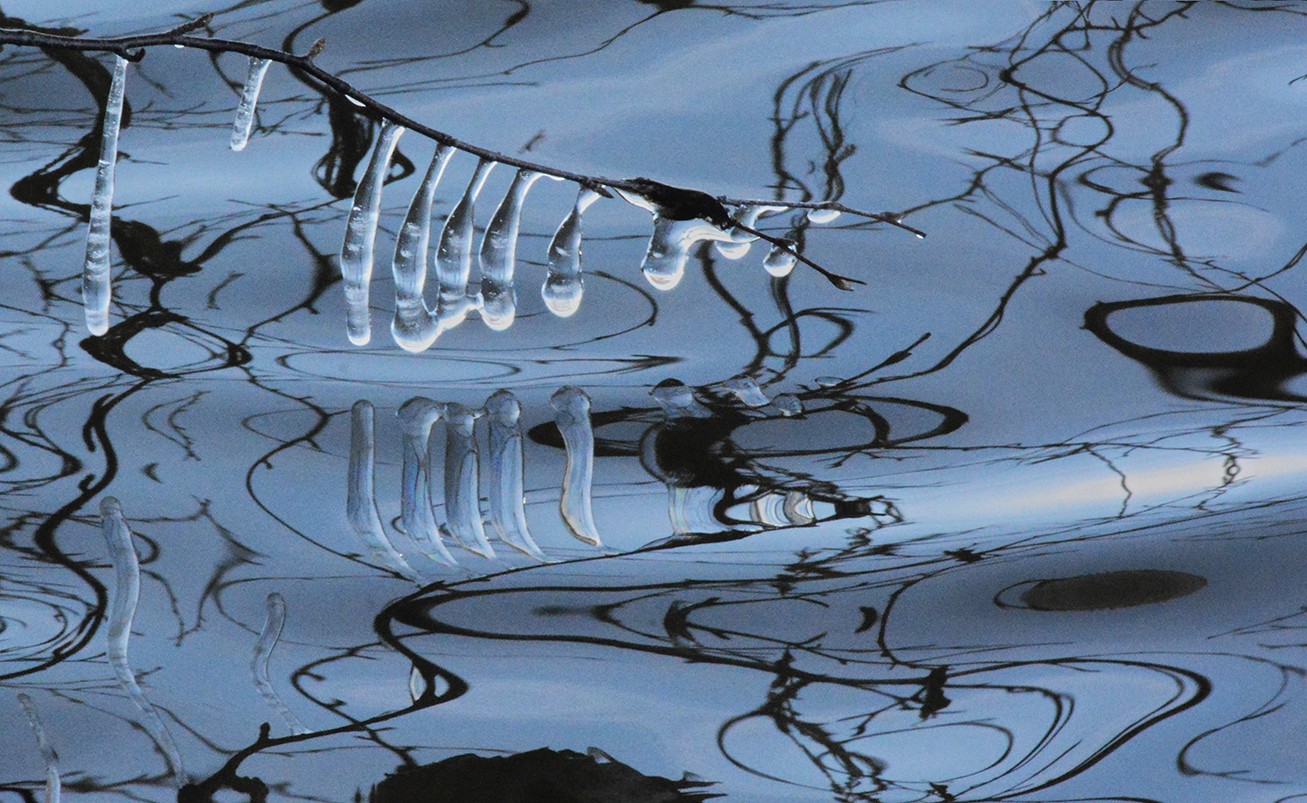 ������� ����