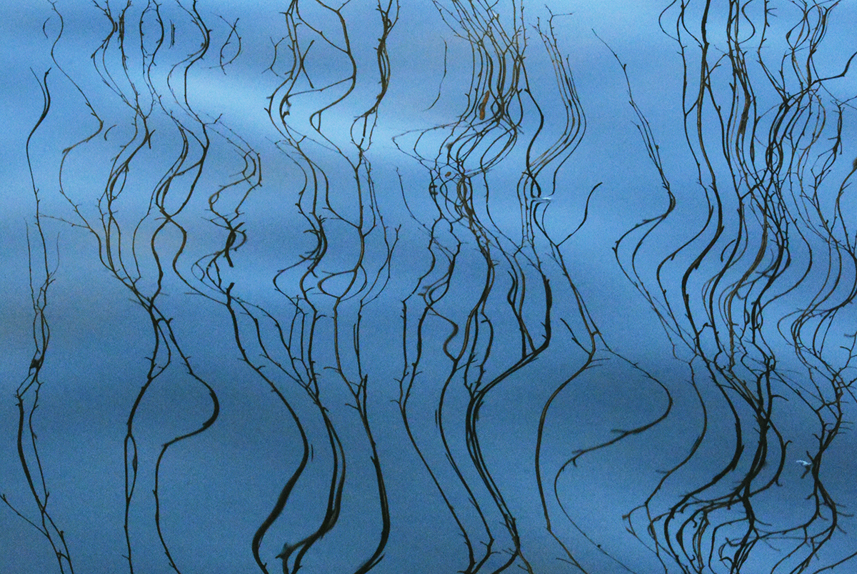 ��������� �������