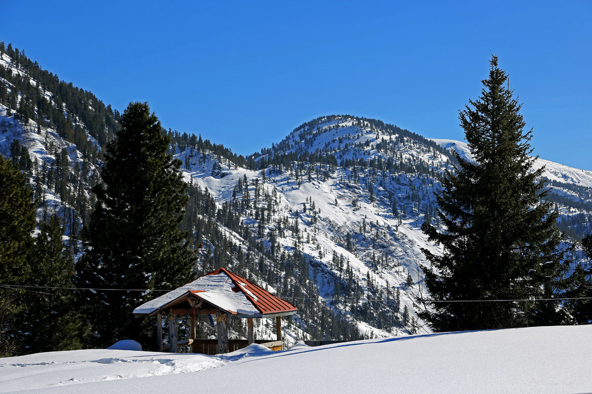 ������� ������� �� ������������ "�����-�����"