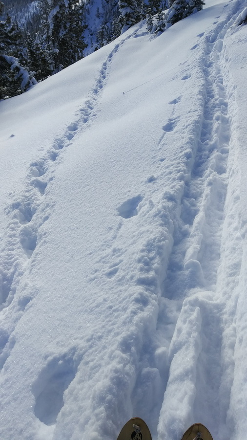 � ������� ���� "�����"