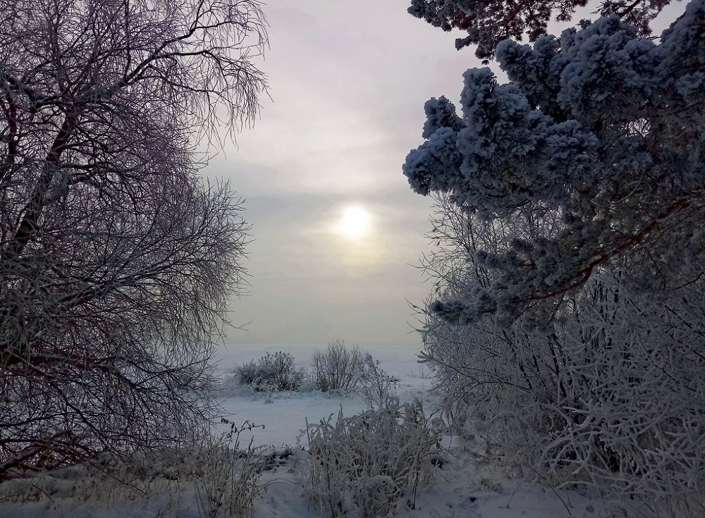 ����� � ������