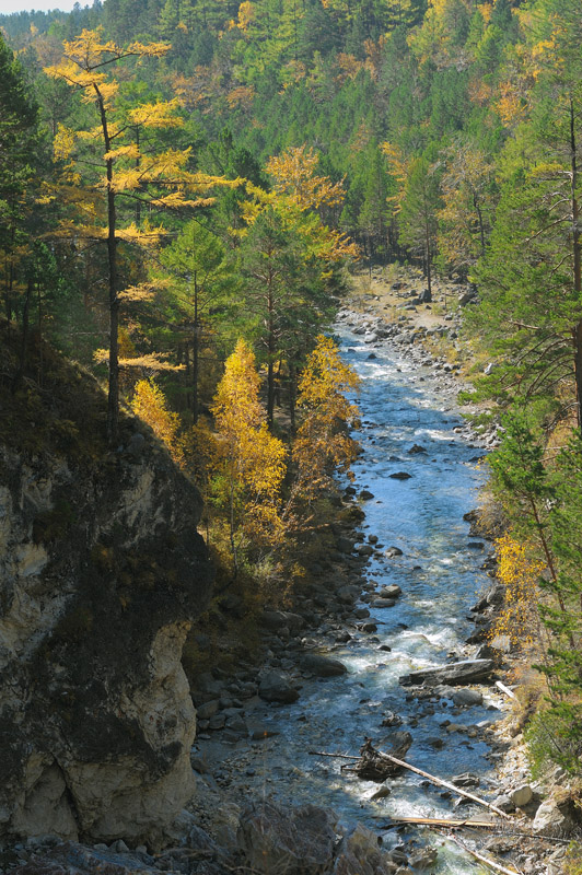 �� ��������