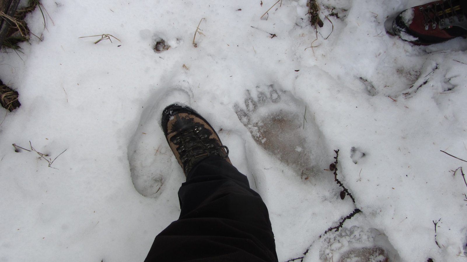 ��� ��� ���� ������� ������� ������