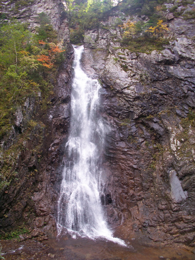 ������� ������ �����