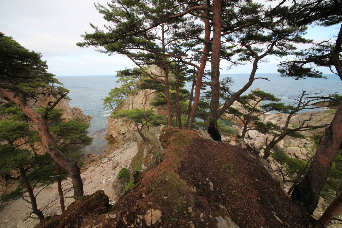 ������ ���� ������ �� ����������� ������