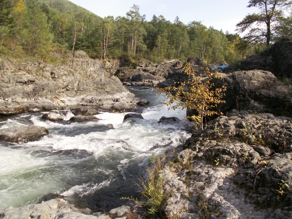 ������ ���� ����