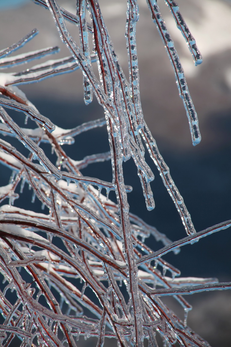 � ����������� ���������