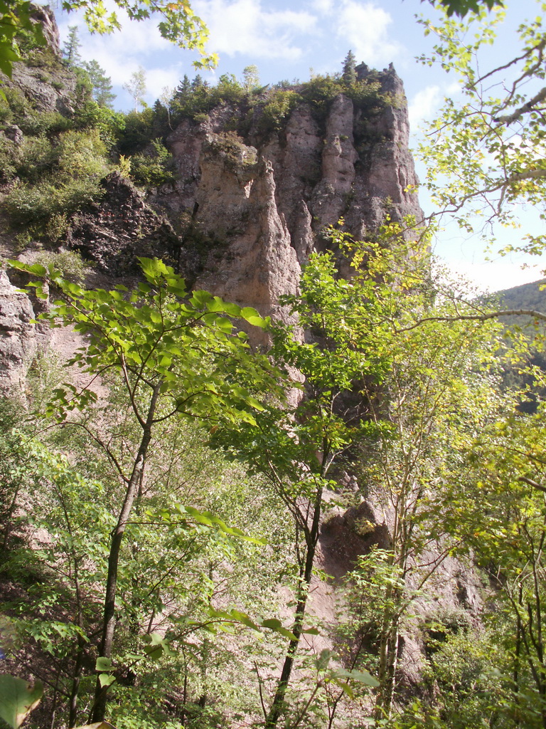 ������ ���� ����