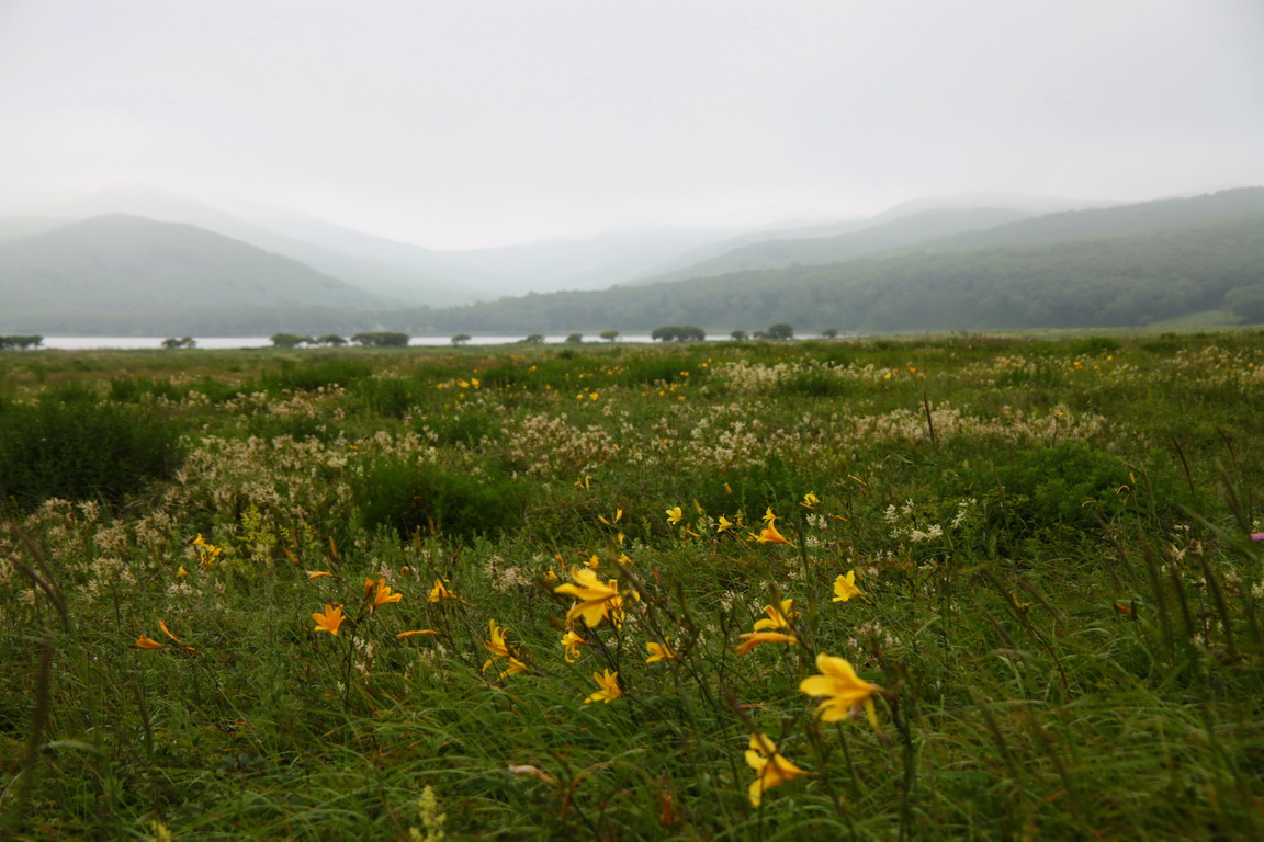 ����� �������