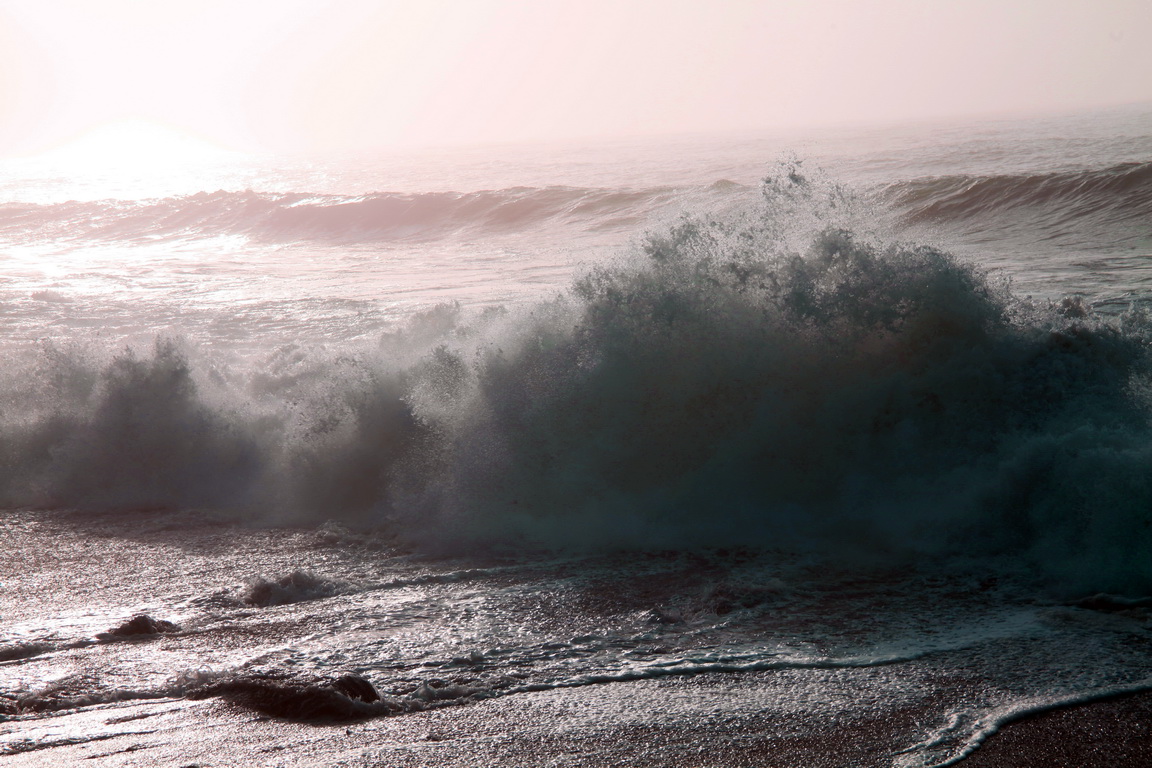 ������ �����